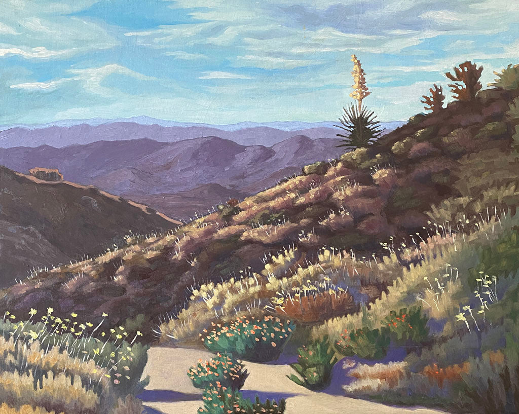 Desert Abundance