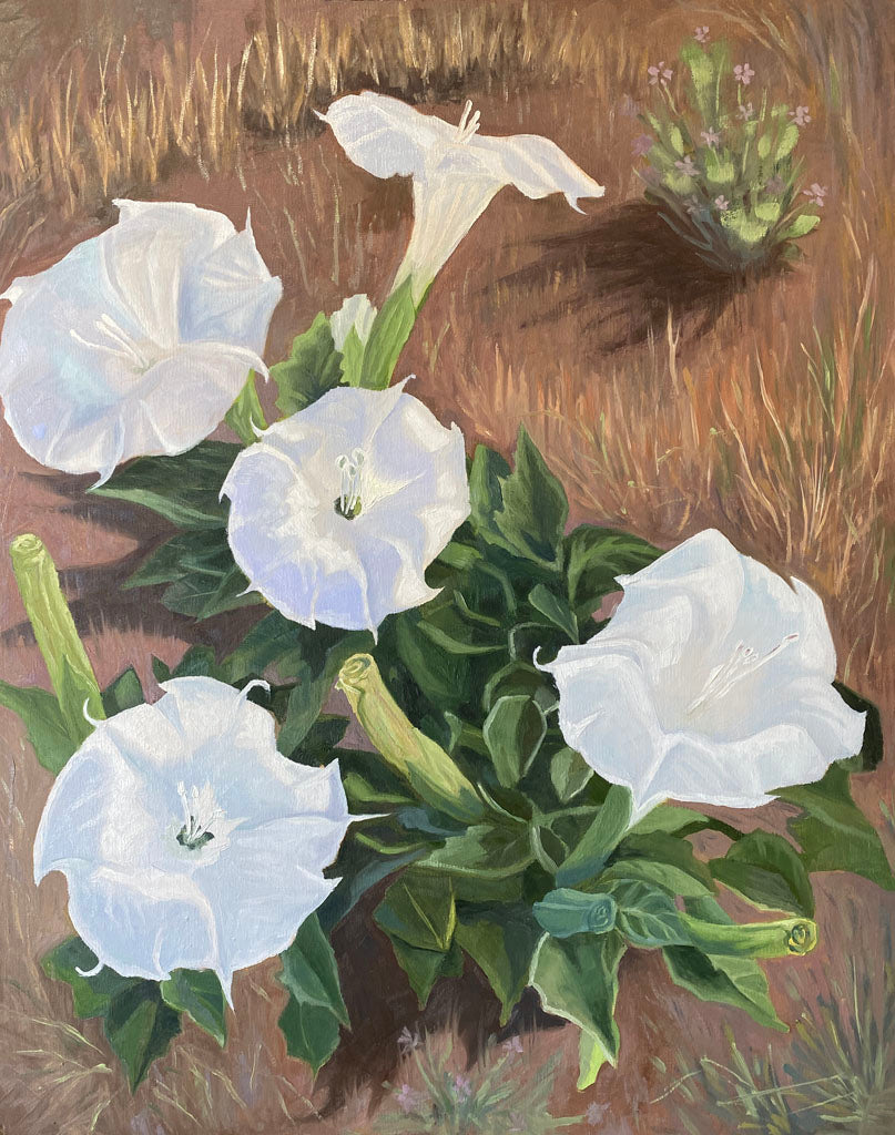 Desert Show Off