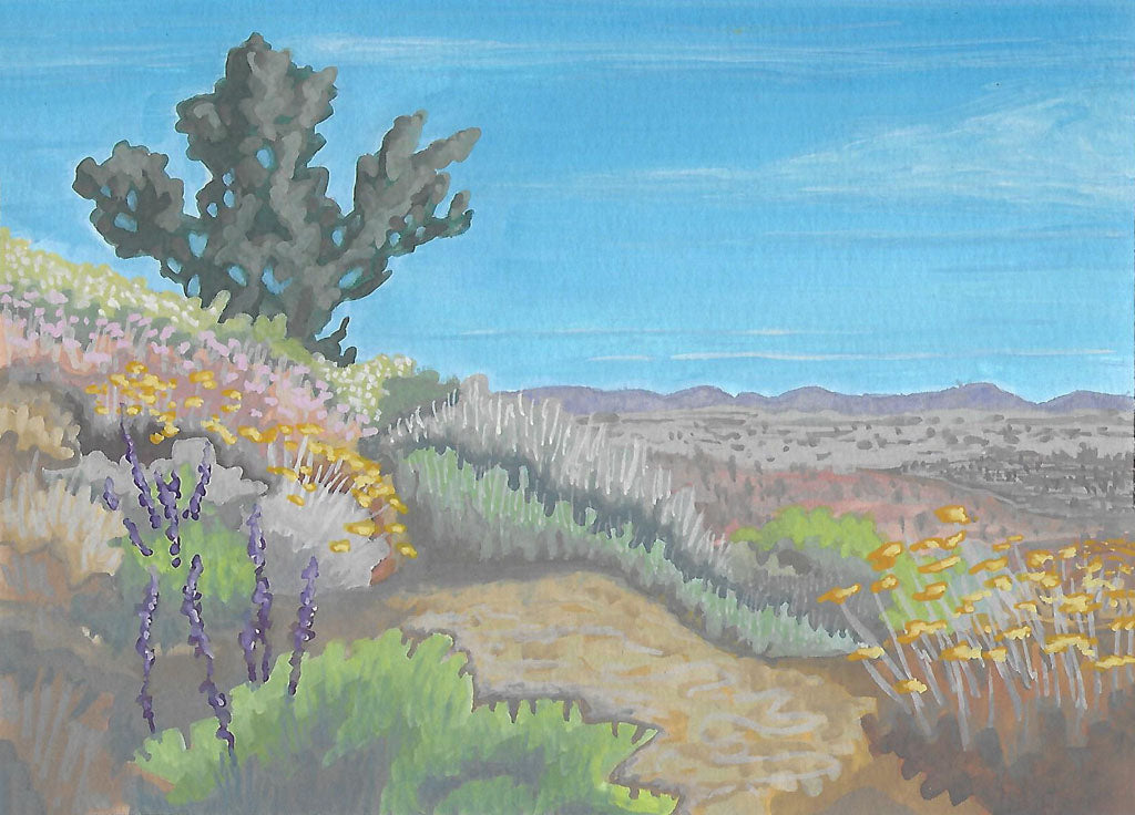 Hi Desert Life