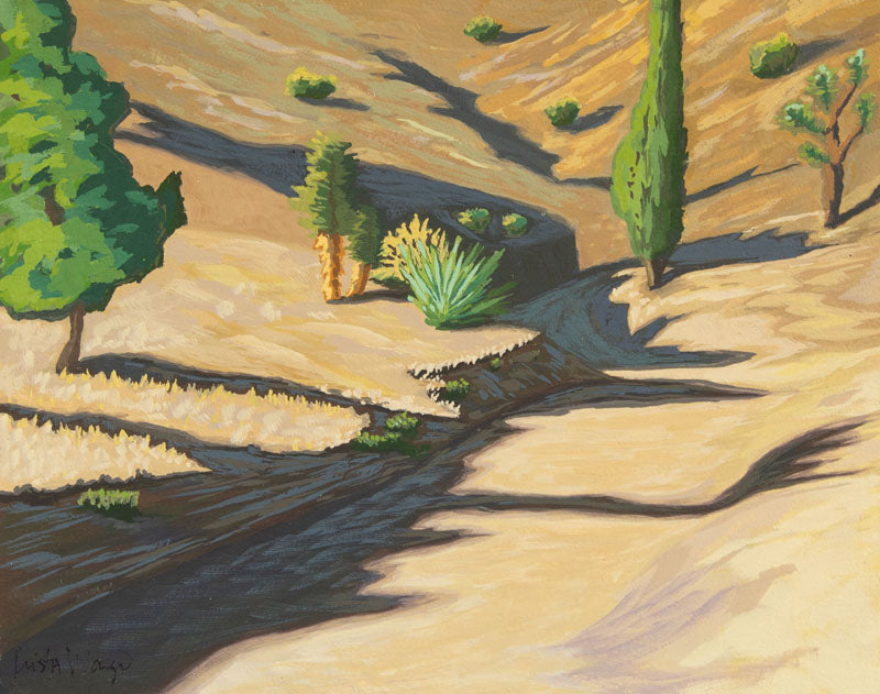 Looking Up the Wash