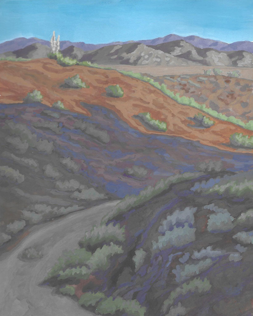 Pathways in the Desert