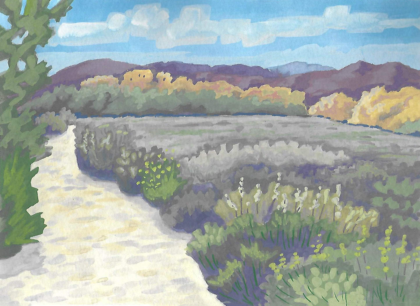 Walking in the Big Morongo Canyon Preserve