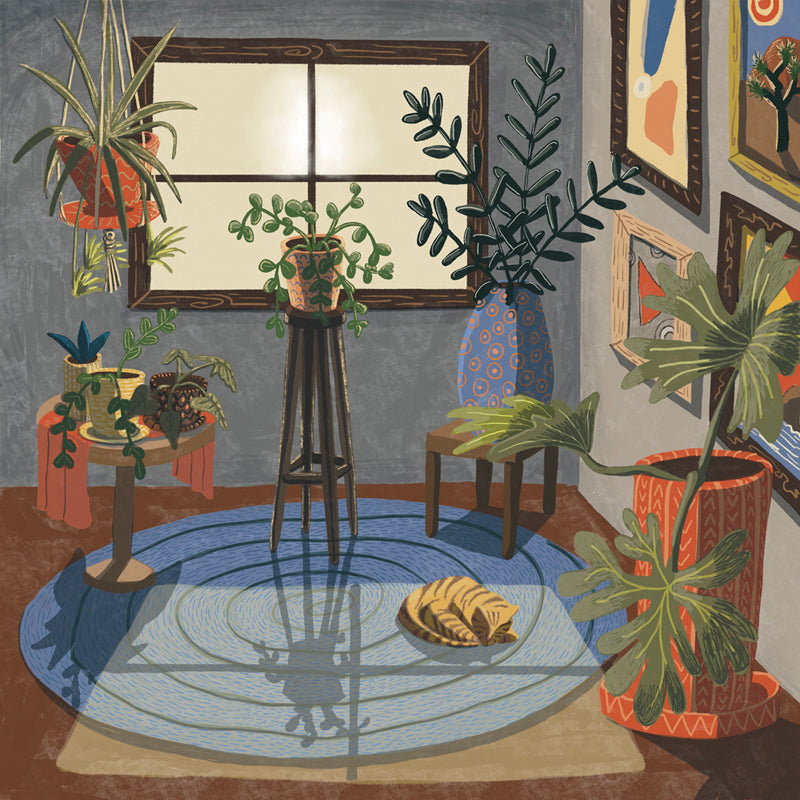 A room full of plants and artwork with sunshine streaming through the window warming a ginger cat that is sleeping in its path.