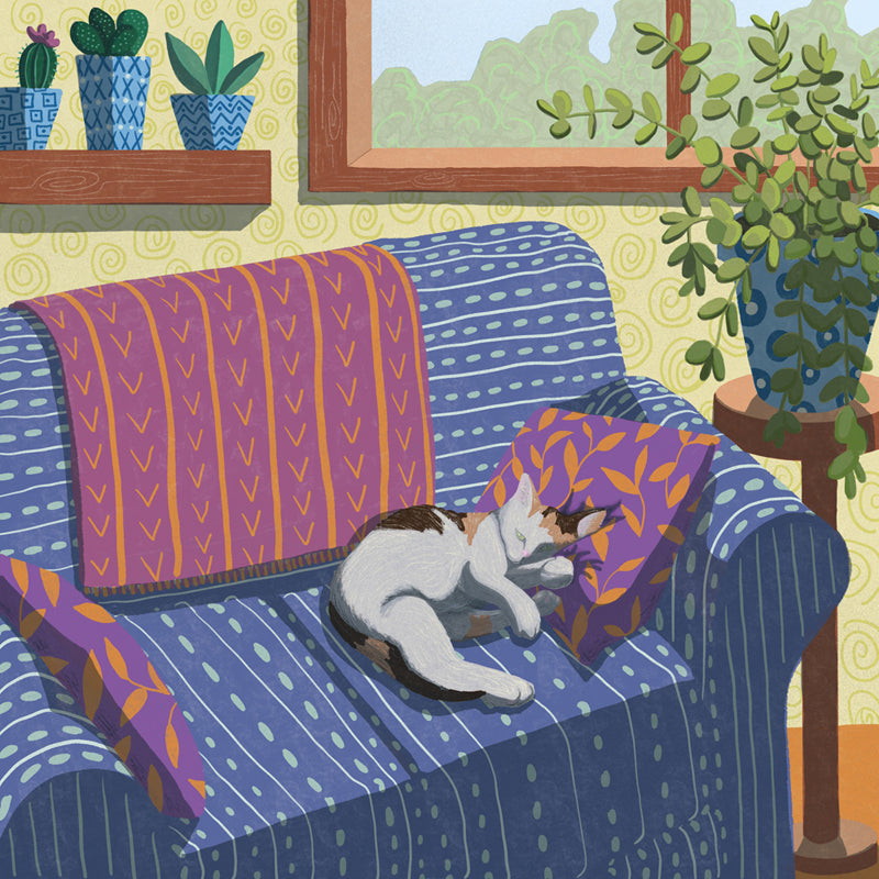 Foggy, a dilute-calico cat, naps on a patterned couch in a cozy room with plants and a window.