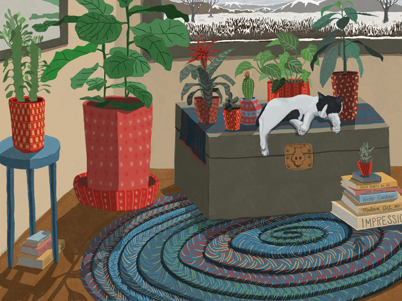 A tuxedo cat sleeps peacefully in a room among a variety of plants and books with a winter scene out the window