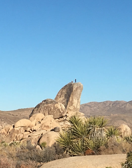 Two people standing on a tall outcropping