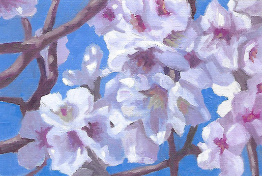 Almond Blossoms II