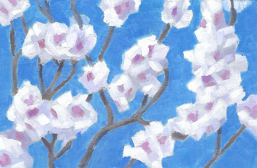 Almond Blossoms