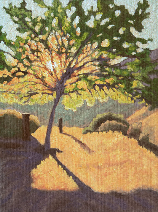 Sunrise through the Mesquite Tree - Original Oil Painting