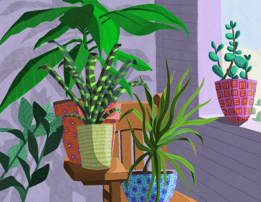 Multiple plants in colorful, patterned pots sit in the corner of a room basking in the sunshine of by a window with shadows cast on the walls.