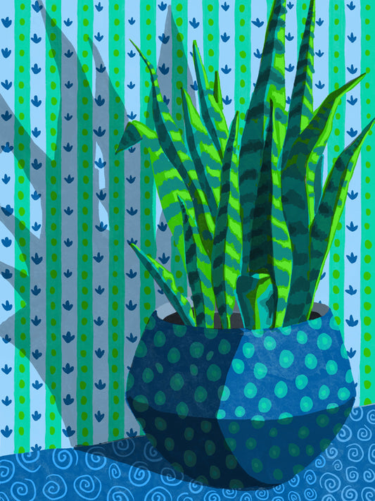 A snake plant in a blue polka dotted pot sits within an aqua patterned background.